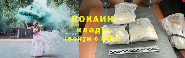 гидра Абаза
