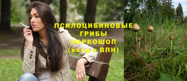 молекула духа Абинск