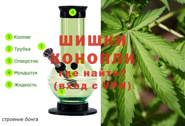 стафф Снежинск