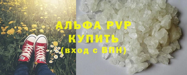 гидра Абаза
