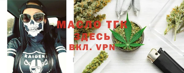 гидра Абаза