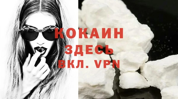 гидра Абаза