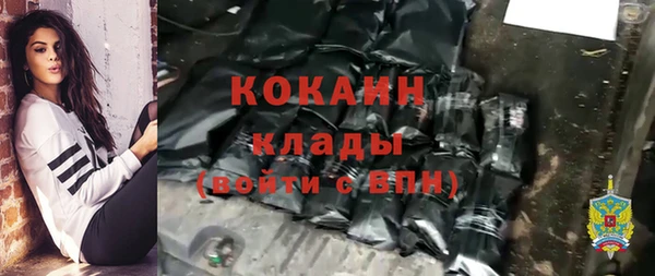 гашик Снежногорск