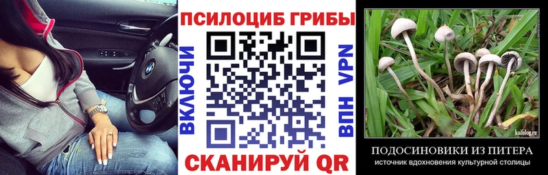 omg рабочий сайт  Кедровый  Псилоцибиновые грибы Magic Shrooms 